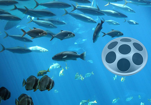 網(wǎng)箱點(diǎn)魚器 網(wǎng)箱點(diǎn)魚器